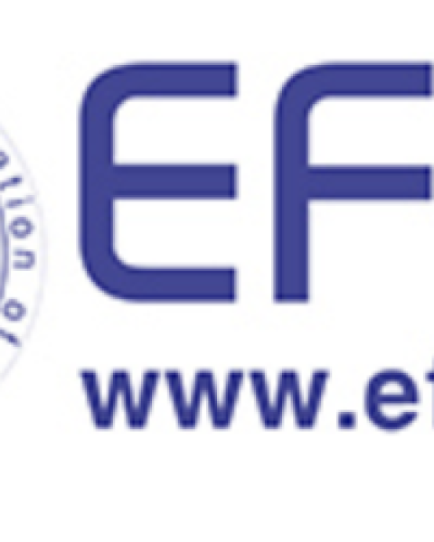 European Federation of Internal Medicine (EFIM) Multimorbidity Working Group (led by Prof. Maximo Bernabeu Wittel, Seville, Spain)